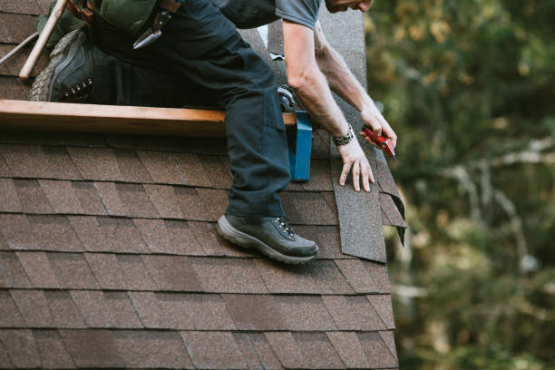 Best Roof Gutter Cleaning  in Lake Cherokee, TX